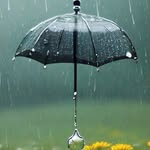 Sam__samia - @sam__samia2024 - Instagram