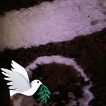 Zamzam raage - @samsamraage - Instagram