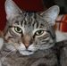Samson Sandlin - Facebook