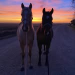 Sam Sauer - @sam_sauer3 - Instagram
