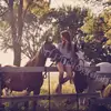 SamSauer - @sauersam - TikTok
