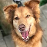 Sam Schmitz - @samschmitz9 - Instagram