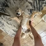sorxn - @sam_schott_24 - Instagram