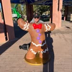 Sam Schuster - @sammerbammer90 - Instagram