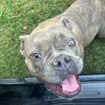 sam schutter - @samsxh29 - Instagram