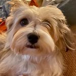 Sam Scriven - @sam_scriven - Instagram