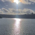 Sam Scriven - @virascape - Instagram
