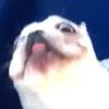 Sam - @sam_scully_ - TikTok