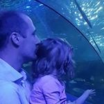 Sam Sealey - @sam.sealey - Instagram