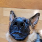 Sam Seals - @samsonroy.seals - Instagram