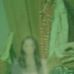 Sam Seeley - Facebook