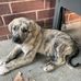 Samuel Seeley - Facebook