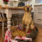 Seeley & Sam - @seeleyandsam - Instagram
