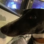 Sam Sefton - Facebook