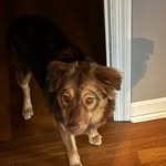 Sam Seibert - @sam_seibert - Instagram