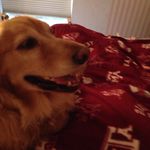 Sam Seidel - @sam_seidel1 - Instagram