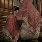sam seif - @samseif83 - Instagram