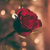Samseif00 - @samseif000 - TikTok