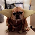 Sam Seligman - @samuel_seligman - Instagram