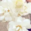 SAM.SELVANA✝️ - @sam.selvana - TikTok