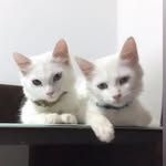 Sam & Seth - @samandseth - Instagram