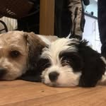 Sam Sewell - @sam.sewell73 - Instagram