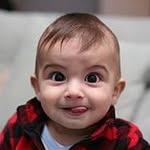 sam shalom - @samshalom653 - Instagram