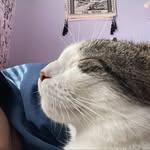 Sam ε> - @sam.shane - Instagram
