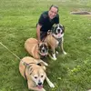 Sam Shariat - @sam.shariat - TikTok