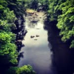 Sam Sharman - @pieheadsam - Instagram