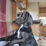 sam shearden - @sheardensam - Instagram
