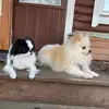 Samantha Sherburne - @samanthasherburne770 - TikTok