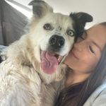 Sam Sherlock - @sammisherl - Instagram