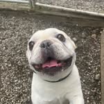 Sam Hampshire - @samshires101 - Instagram