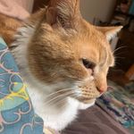 Sam Shockley - @disappointed_morris_day - Instagram