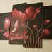 Sam Shope - Facebook