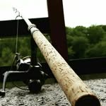 Sam Sibley - @sam.sibs32_fish - Instagram