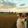 Sam Sides - @sam.sides7 - TikTok