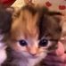 Sam Sin - Facebook