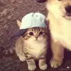 Samantha Skeens - @samantha.skeens2 - TikTok