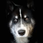 Sammy - @samsky.sam - Instagram