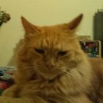 Sam J. Slagle - @sjslagle - Instagram
