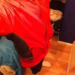 @sam_small_ - Instagram
