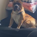 Sam Snapp - Facebook
