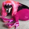 sam snapp - @samsnapp - TikTok