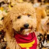 samsnappyphotos - @samsnappyphotos - TikTok