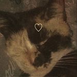 Sam Sokolowski - @sam_nova_are_besties - Instagram