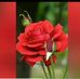 Sj Solayman - Facebook