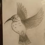 Sam Soler - @sylvi012023 - Instagram