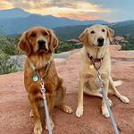 Sam - @sam.soliday - Instagram